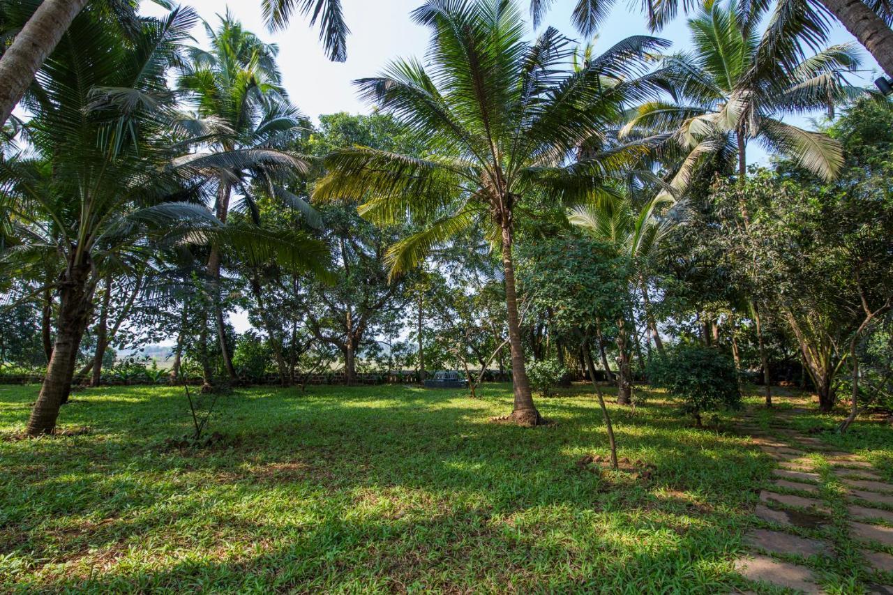 קייבלוסים Rosastays South Goa מראה חיצוני תמונה